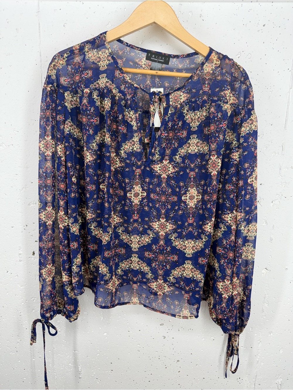 Trixxi Francesca’s Size XL Blue Floral Sheer Blouse New